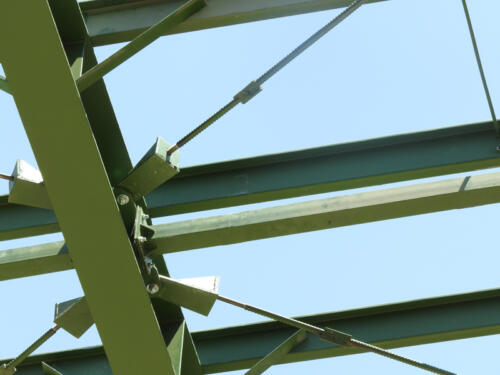 DSCN9116